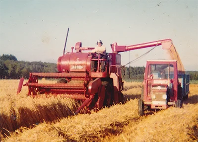 Mike Browne driving a red Massey Ferguson 410 combine harvester